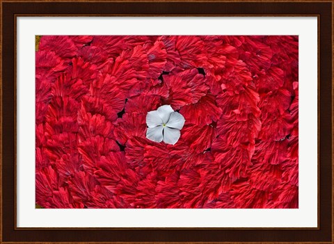 Framed Flower arrangments at spa, Fregate Resort, Seychelles Print