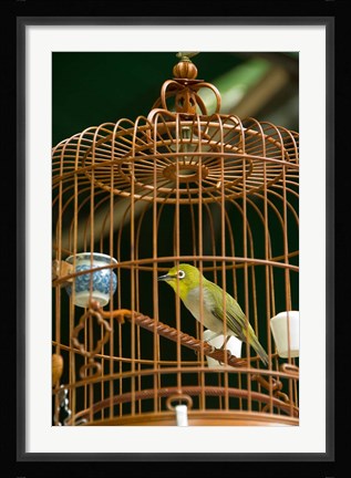Framed Hong Kong, Bird Garden, Market, Caged pet birds Print