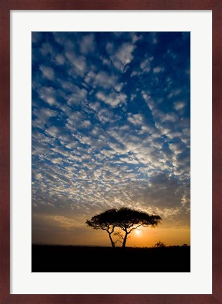 Framed Africa. Tanzania. Sunrise in Serengeti NP. Print