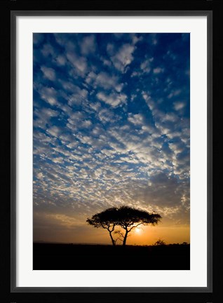 Framed Africa. Tanzania. Sunrise in Serengeti NP. Print