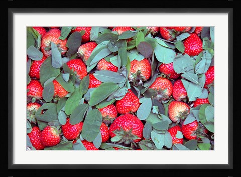 Framed China, Chongqing, Strawberries in fruit market Print