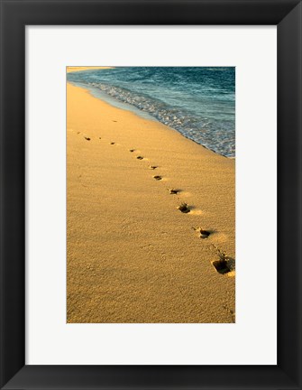 Framed Footprints in the Sand, Mauritius, Africa Print