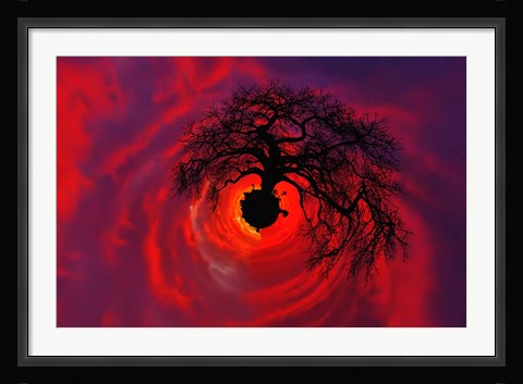 Framed African baobab tree silhouetted at sunset, , Tarangire National Park, Tanzania Print