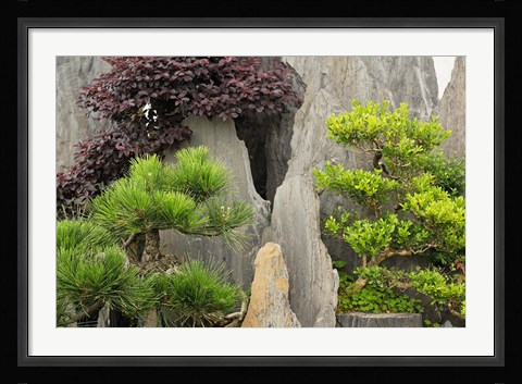 Framed Bao's Family Garden, Huangshan, China Print