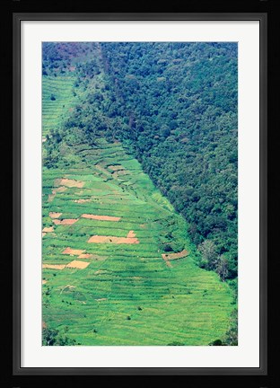 Framed Abutting Agricultural Development, Uganda Print