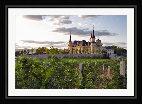 Framed Chateau Changyu AFIP Global winery, Ju Gezhuang Town, China Print