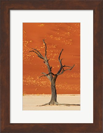 Framed Dead tree, sand dunes, Deadvlei, Namib-Naukluft National Park, Namibia Print