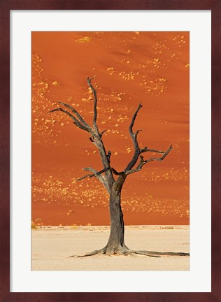 Framed Dead tree, sand dunes, Deadvlei, Namib-Naukluft National Park, Namibia Print