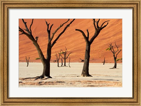 Framed Dead trees with sand dunes, Namibia Print