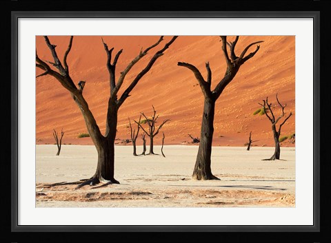 Framed Dead trees with sand dunes, Namibia Print