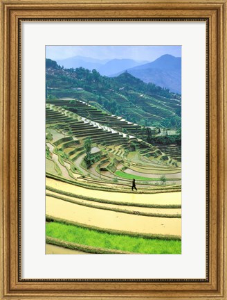 Framed China, Yunnan, Yuanyang Co, Rice Terraces, Mount Ailo Print