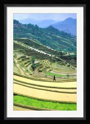 Framed China, Yunnan, Yuanyang Co, Rice Terraces, Mount Ailo Print