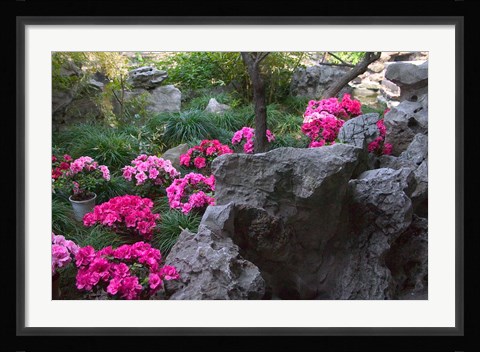 Framed Flowers and Rocks in Traditional Chinese Garden, China Print