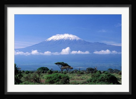 Framed Africa, Tanzania, Mt Kilimanjaro, landscape and zebra Print
