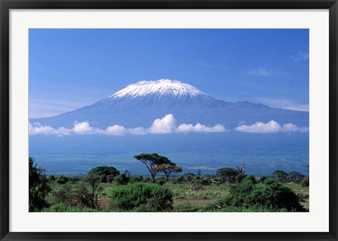 Framed Africa, Tanzania, Mt Kilimanjaro, landscape and zebra Print