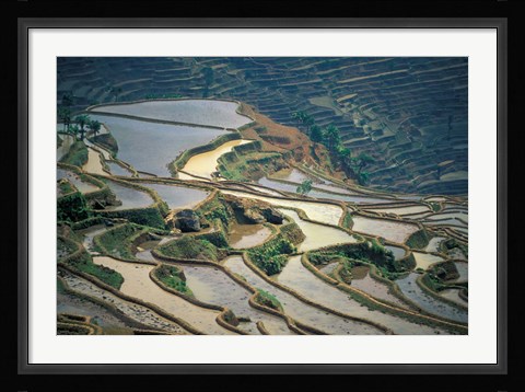 Framed Flooded Rice Terraces of Honghe, China Print