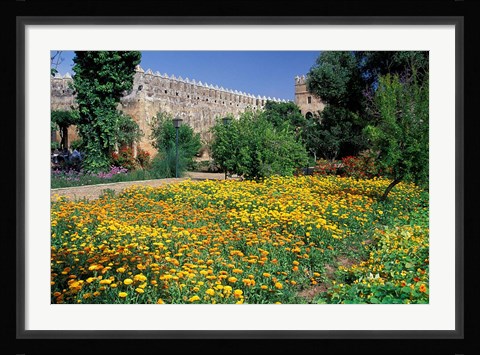 Framed Gardens and Crenellated Walls of Kasbah des Oudaias, Morocco Print