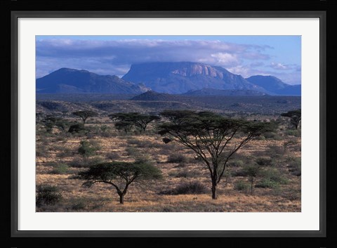 Framed Acacia and Distant Massif North of Mt Kenya, Samburu National Reserve, Kenya Print