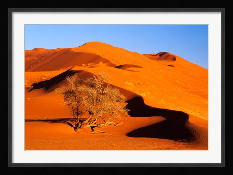 Framed Elim Dune Overcomes, Sesriem, Namib Naukluft Park, Namibia Print
