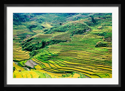 Framed China, Yuanjiang, Cloudy Sea Terrace, Agriculture Print