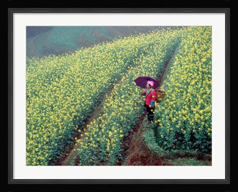Framed Chinese Woman Walking in Field of Rapeseed near Ping' an Village, Li River, China Print