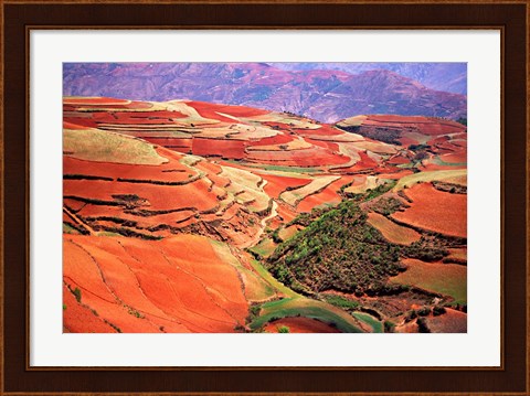 Framed China, Yunnan, Tilled Red Laterite, Agriculture Print