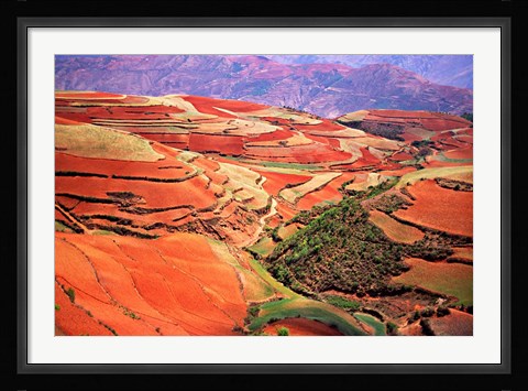 Framed China, Yunnan, Tilled Red Laterite, Agriculture Print