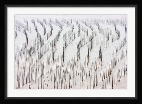 Framed Agriculture, Bamboo sticks, drying seaweed, Xiapu, China Print