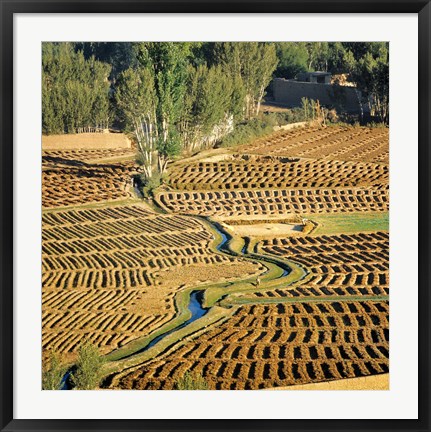 Framed Afghanistan, Bamian Valley, Farmland and irrigation Print