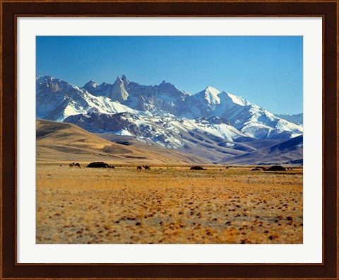 Framed Afghanistan, Bamian Valley, Mountains, Kuchi camp Print