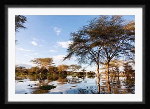 Framed Flooded shoreline, Lake Naivasha, Crescent Island Game Park, Kenya Print