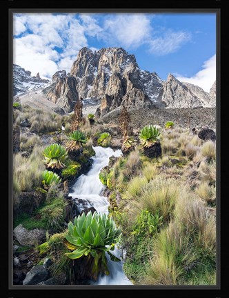 Framed Central Mount Kenya National Park, Kenya Print