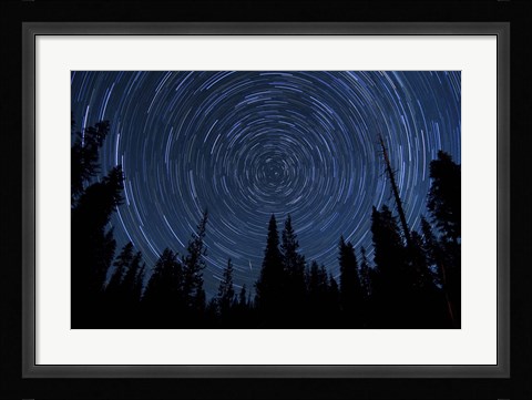 Framed Star trails and a meteor above pine trees in Lassen Volcanic National Park Print