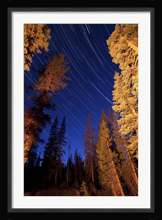 Framed Star trails above campfire lit pine trees in Lassen Volcanic National Park Print