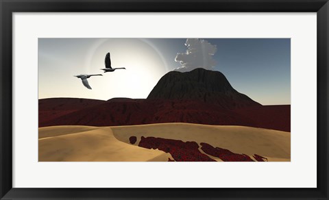 Framed Two swans fly over cooling lava flows from a recently active volcano Print