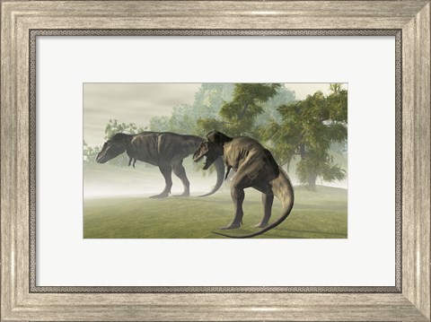 Framed Two Tyrannosaurus Rex rest in the early morning light before the days hunt Print