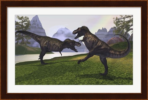 Framed Two Tyrannosaurus Rex dinosaurs fight for the right of a territory Print
