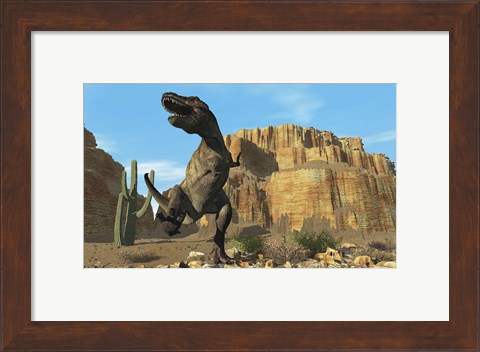 Framed T-Rex roars his defiance to all other dinosaurs in his territory Print