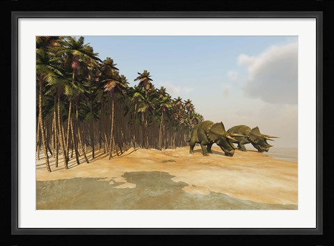 Framed Two Triceratops come down to a lake to drink some water Print