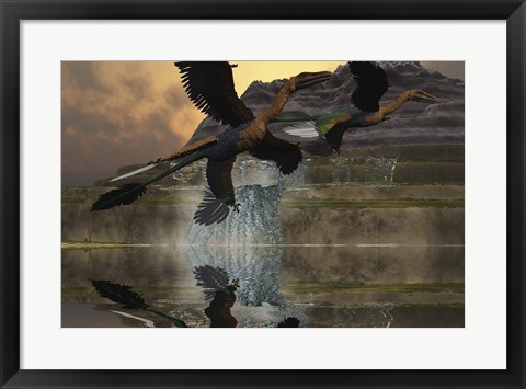 Framed Two Microraptor dinosaurs fly near mountain waterfalls in prehistoric times Print
