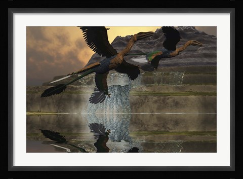 Framed Two Microraptor dinosaurs fly near mountain waterfalls in prehistoric times Print