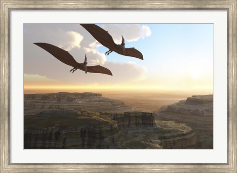 Framed Two Pterodactyl flying dinosaurs soar above a beautiful canyon Print