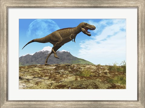 Framed Tyrannosaurus Rex dinosaur walks through his territory Print