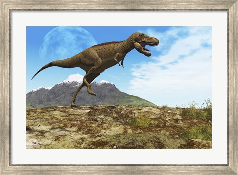 Framed Tyrannosaurus Rex dinosaur walks through his territory Print