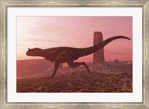 Framed Carnotaurus running in the early morning light on desert terrain Print