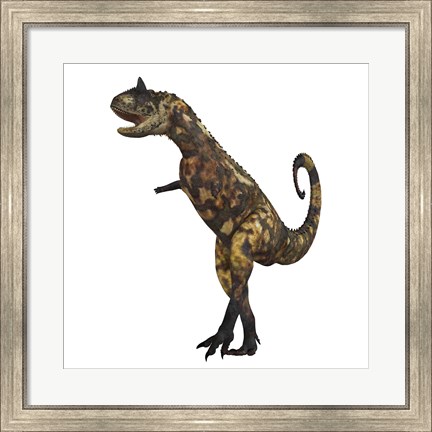 Framed Carnotaurus dinosaur Print