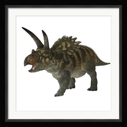 Framed Coahuilaceratops dinosaur Print