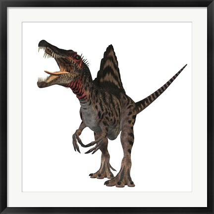 Framed Spinosaurus dinosaur Print