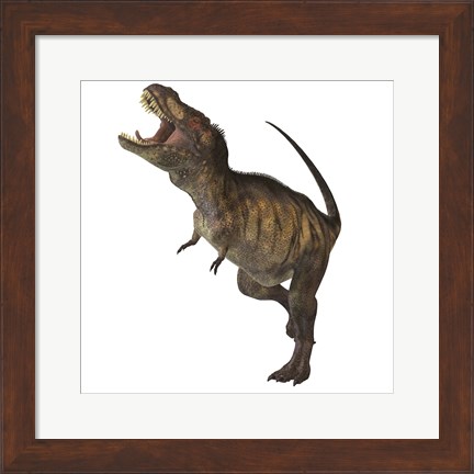 Framed Tyrannosaurus Rex Print