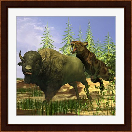 Framed Saber-Tooth cat pounces onto a frightened Buffalo Print